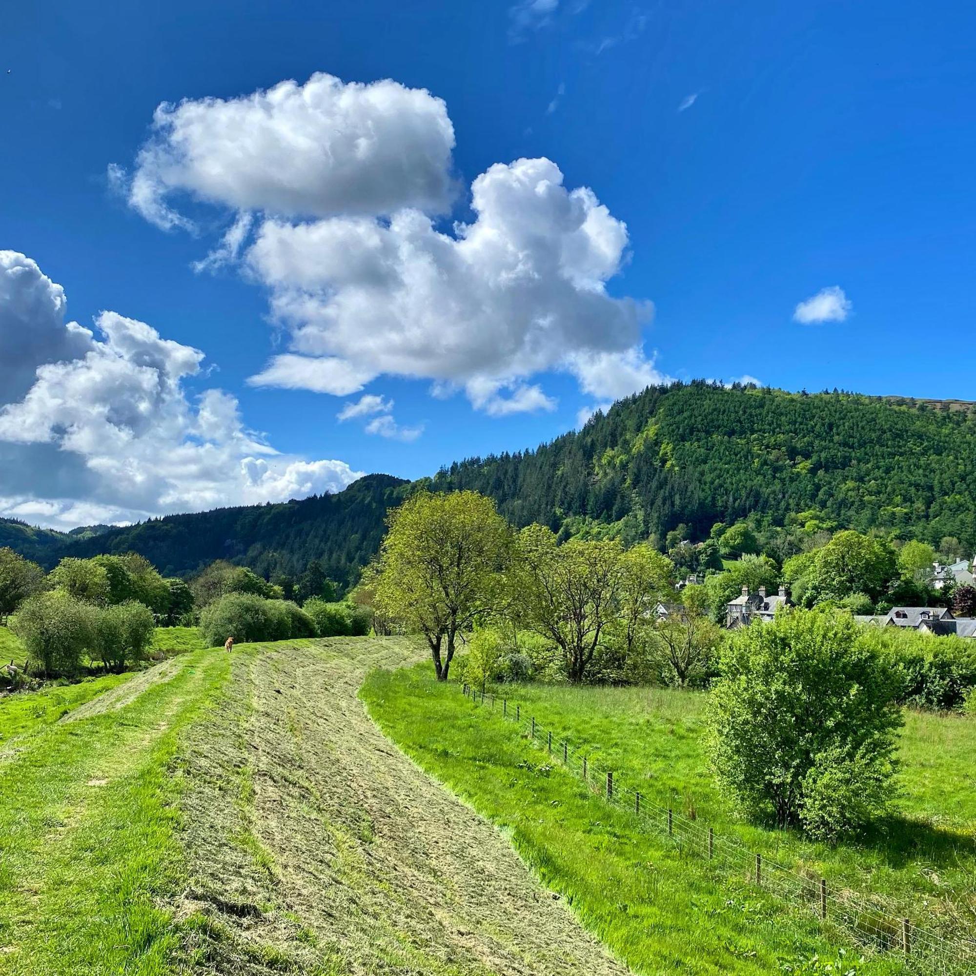 Crafnant House - Bed & Breakfast Trefriw Экстерьер фото
